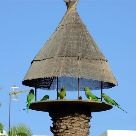 La Kasita In Primavera Apartment Costa Del Silencio