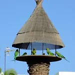 La Kasita In Primavera شقة طوستا ديل سيلونثيو