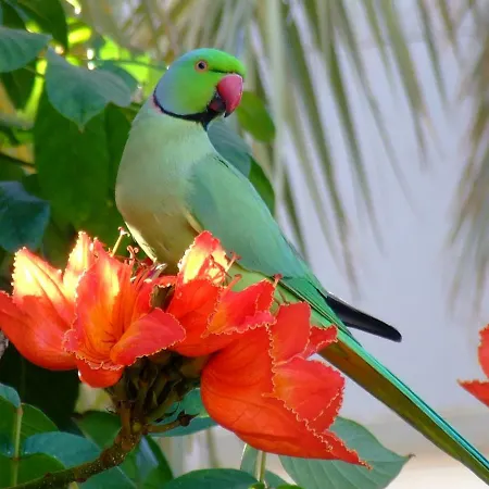 Lägenhet La Kasita In Primavera Costa Del Silencio