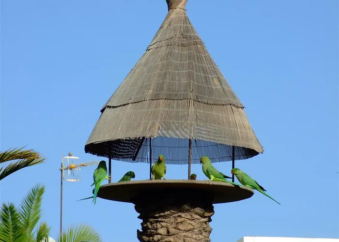 La Kasita In Primavera Daire Costa Del Silencio